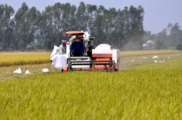 Cà Mau nằm trong chương trình phát triển nông nghiệp bền vững thích ứng với biến đổi khí hậu đến năm 2030, tầm nhìn đến năm 2045