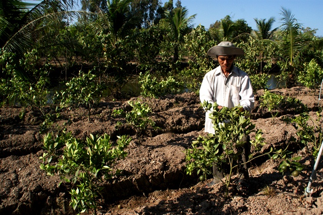 Theo mục tiêu chương trình đề ra, đến năm 2045 có trên 50% nông dân được đào tạo nghề nông nghiệp
