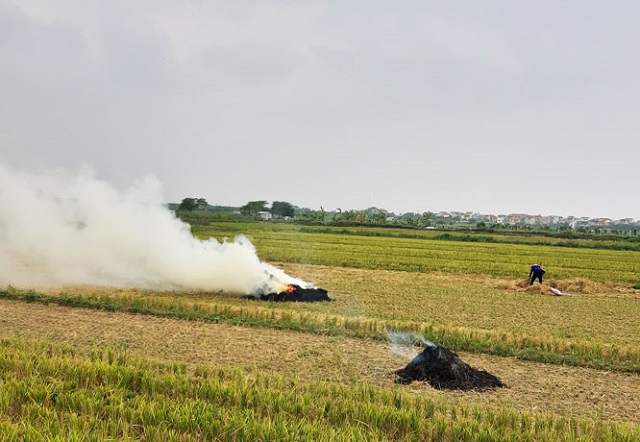 H&agrave; Nội Tăng cường c&aacute;c biện ph&aacute;p quản l&yacute; hoạt động đốt rơm rạ, c&aacute;c phụ phẩm c&acirc;y trồng, chất thải