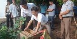 Nuôi ong VietGAHP, xuất khẩu dễ dàng