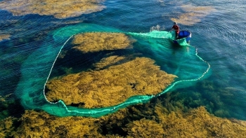 Bán đảo Hải Giang - Quy Nhơn: Một ngày đến, những ngày yêu