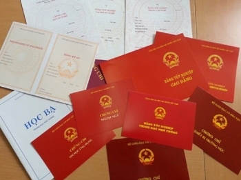 Thanh Hóa: Dùng bằng giả một bác sĩ bị thu hồi chứng chỉ hành nghề