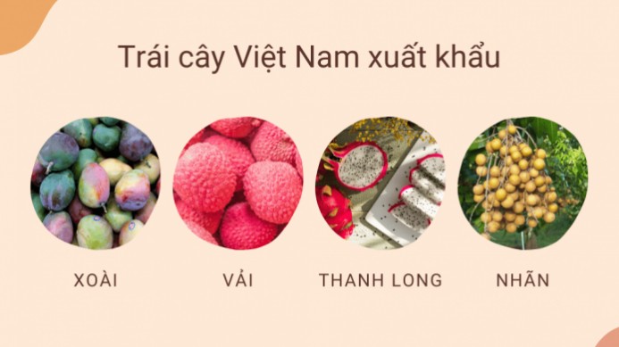 Những yêu cầu cần biết khi xuất khẩu rau quả tươi sang Châu Âu