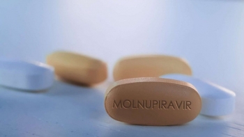 Bộ y tế đưa Molnupiravir vào phác đồ điều trị Covid-19