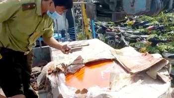 Bắt quả tang xe tải chở lâm sản trái pháp luật tại An Giang