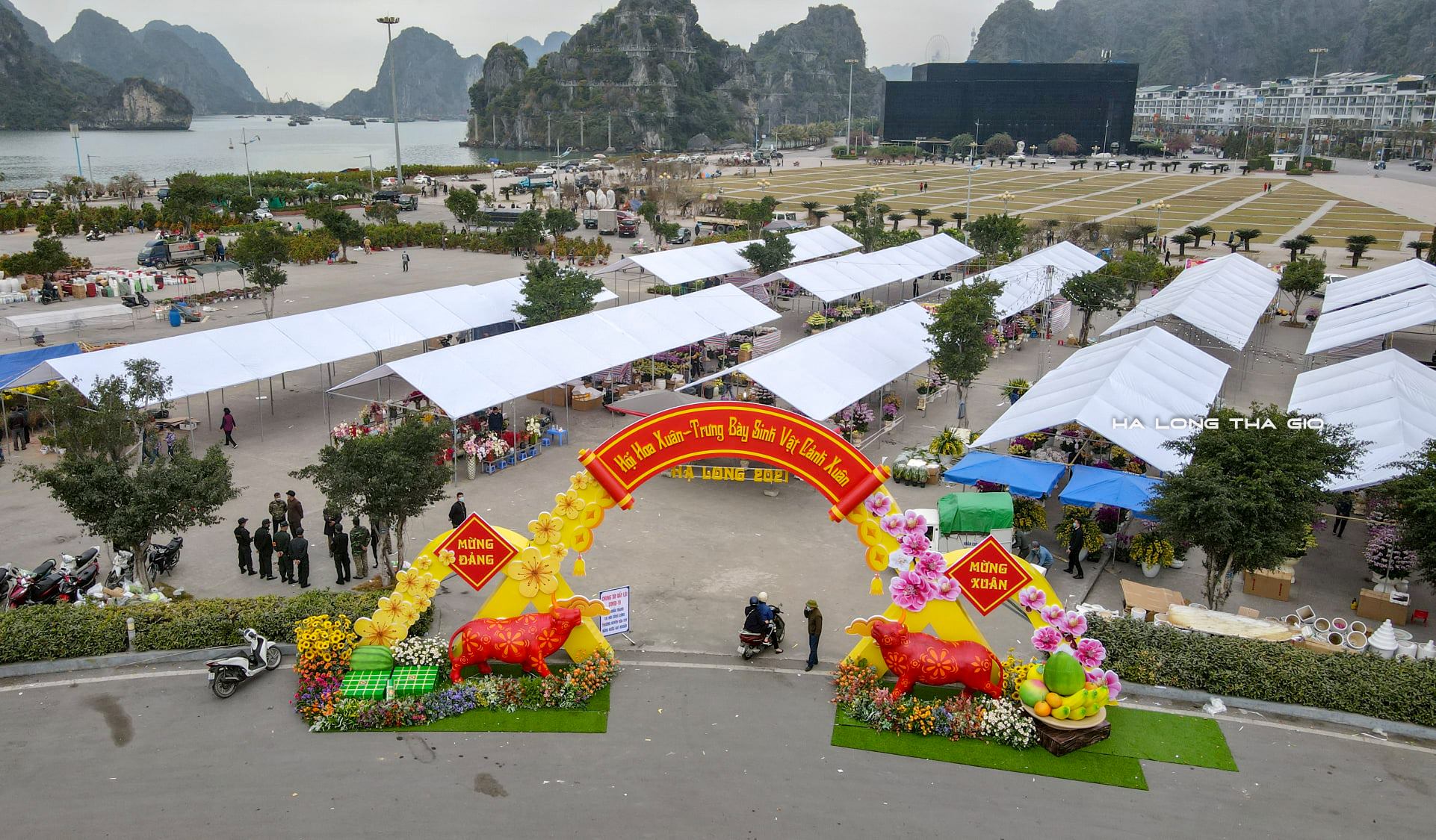 Các gian hàng tại hội chợ hoa Xuân cũng sẽ được bố trí giãn cách để đảm bảo quy định về phòng chống dịch Covid-19.