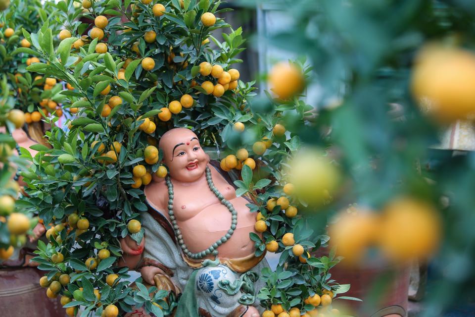 Mỗi t&aacute;c phẩm quất nghệ thuật được chủ nh&acirc;n gửi gắm nhiều t&acirc;m sức, &yacute; tưởng từ khi bắt đầu gieo trồng.