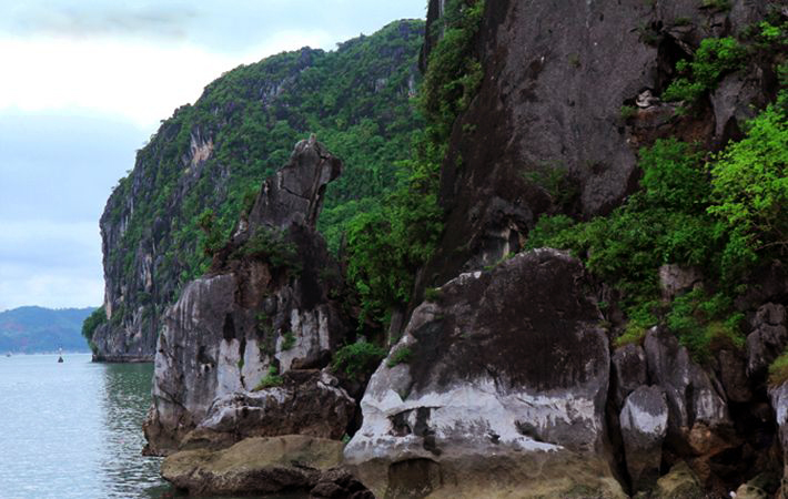 Hòn Chó Đá - Hạ Long