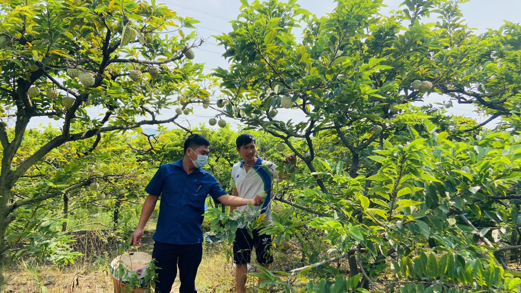 Đông Triều: Nâng cao chất lượng xây dựng nông thôn mới - Báo Quảng Ninh  điện tử