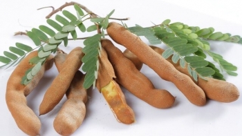 Bất ngờ với loại quả dùng để làm gia vị lại có công dụng tốt như "thần dược"