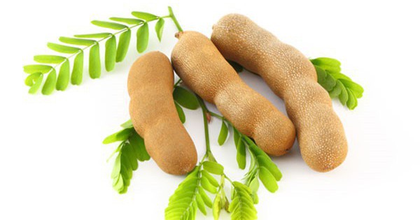 Chuyên gia Đông y: Quả me kết hợp với thứ này, sẽ thành thuốc quý rẻ tiền  chữa nhiều bệnh