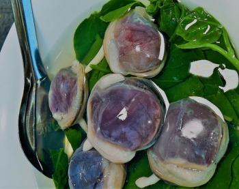 Loài động vật "hai mảng" sống dưới biển, giá chưa đầy 1 triệu đồng?