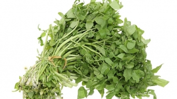 5 lợi ích bất ngờ của rau Cải Xoong đối với sức khỏe