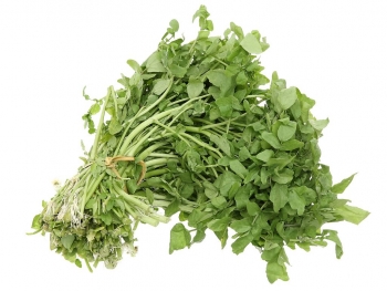 5 lợi ích bất ngờ của rau Cải Xoong đối với sức khỏe