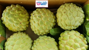 Quảng Ninh đưa sản phẩm na dai Đông Triều lên sàn thương mại điện tử