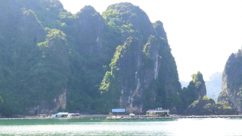 Chiêm ngưỡng danh thắng đảo Phất Cờ trên vịnh Bái Tử long