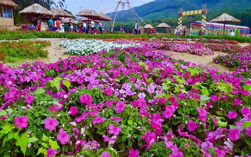 thung lũng hoa yên tử