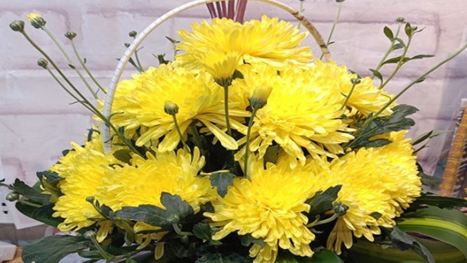 Ý nghĩa của hoa Cúc trong ngày Tết bạn cần biết