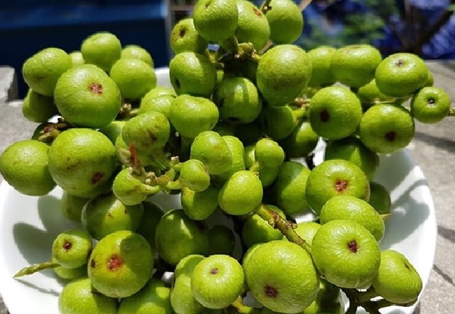 Không chỉ mang lại sung túc cả năm, quả sung còn tốt cho sức khoẻ