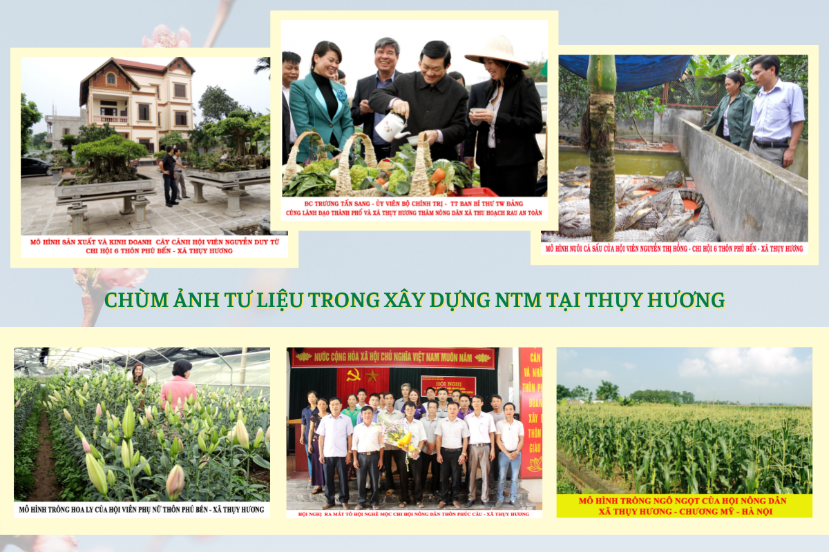 Sức Xuân trên Quê hương thí điểm NTM cấp trung ương Thụy Hương, Chương Mỹ