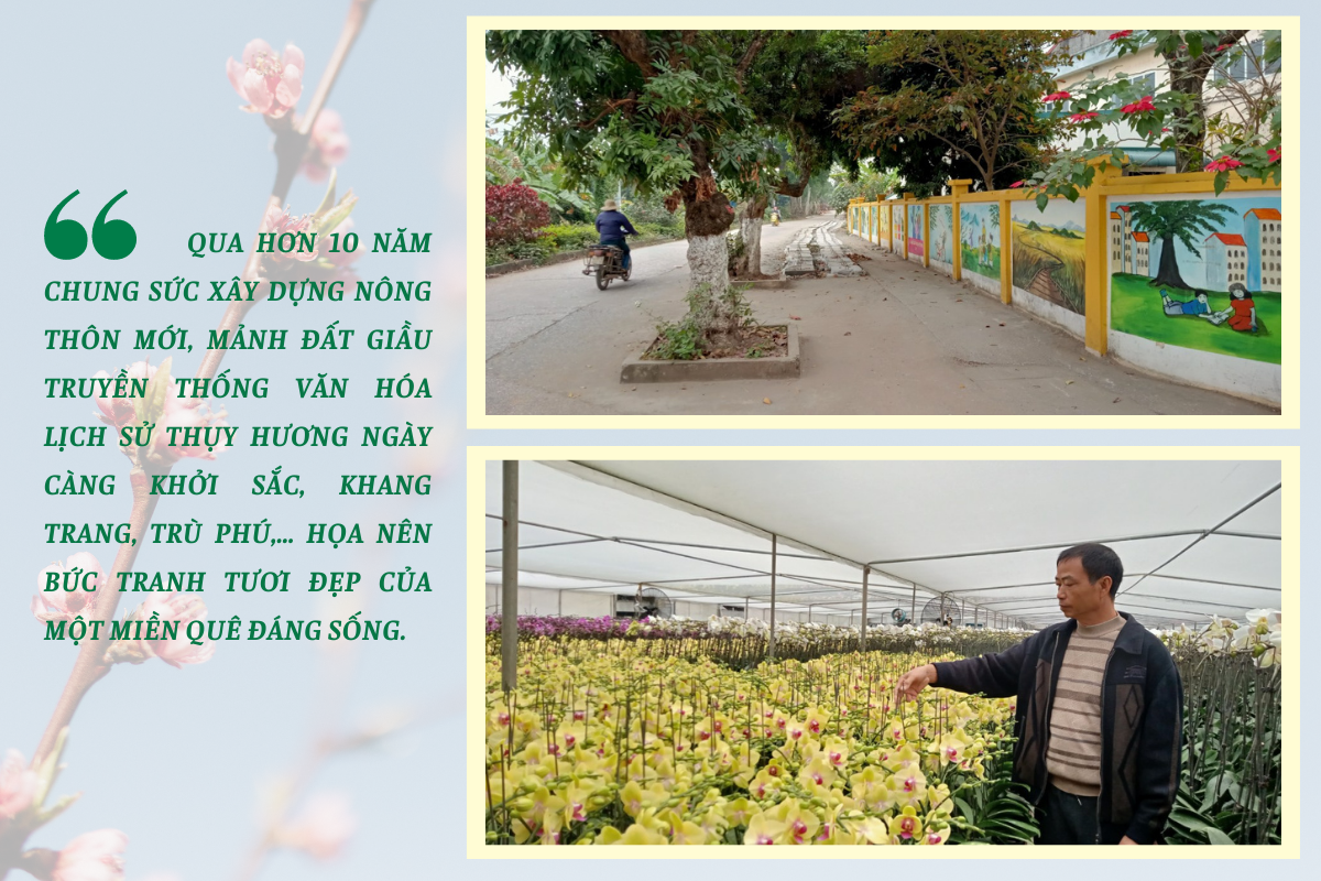 Sức Xuân trên Quê hương thí điểm NTM cấp trung ương Thụy Hương, Chương Mỹ