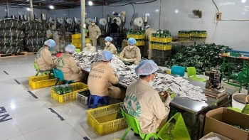 Chương Mỹ (Hà Nội): Tiềm năng và thách thức trong triển khai OCOP năm 2021