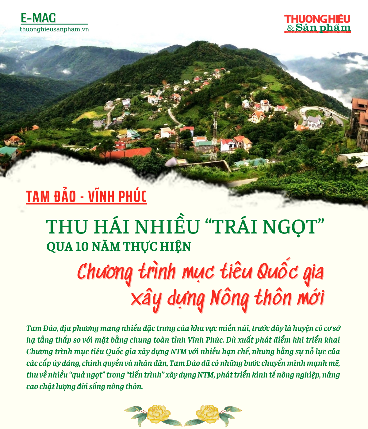 Tam Đảo (Vĩnh Phúc): Thu hái nhiều “trái ngọt” qua 10 năm thực hiện CTMTQG xây dựng Nông thôn mới