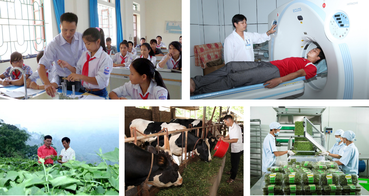 Tam Đảo (Vĩnh Phúc): Thu hái nhiều “trái ngọt” qua 10 năm thực hiện CTMTQG xây dựng Nông thôn mới