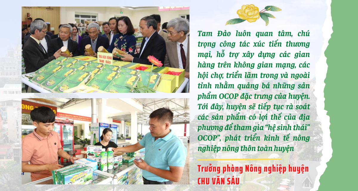 Tam Đảo (Vĩnh Phúc): Thu hái nhiều “trái ngọt” qua 10 năm thực hiện CTMTQG xây dựng Nông thôn mới