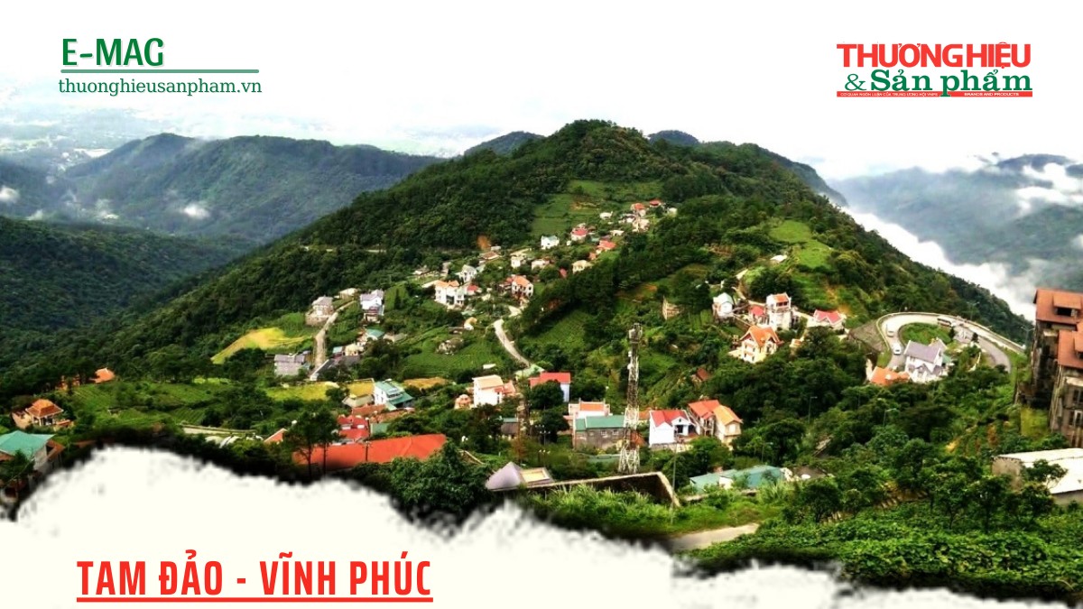 Tam Đảo (Vĩnh Phúc): Thu hái nhiều “trái ngọt” qua 10 năm thực hiện CTMTQG xây dựng Nông thôn mới