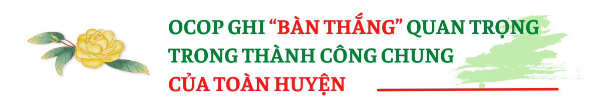 Tam Đảo (Vĩnh Phúc): Thu hái nhiều “trái ngọt” qua 10 năm thực hiện CTMTQG xây dựng Nông thôn mới