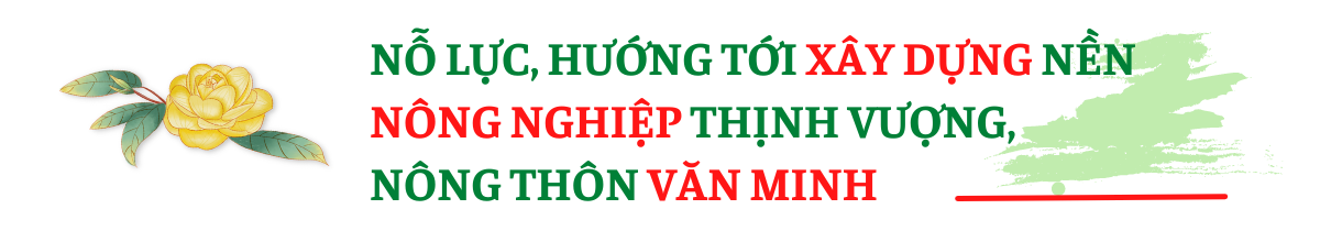 Tam Đảo (Vĩnh Phúc): Thu hái nhiều “trái ngọt” qua 10 năm thực hiện CTMTQG xây dựng Nông thôn mới