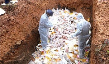 2.500kg các loại sản phẩm động vật không rõ nguồn gốc, xuất xứ bị tiêu hủy