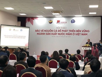 Sản xuất nước mắm suy giảm vì thiếu nguyên liệu