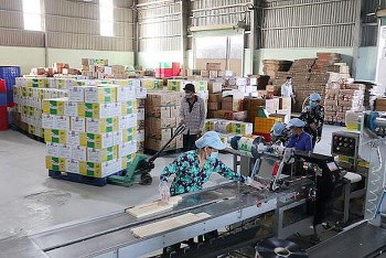 Doanh nghiệp chưa có nhiều kỳ vọng sức mua hàng dịp Tết