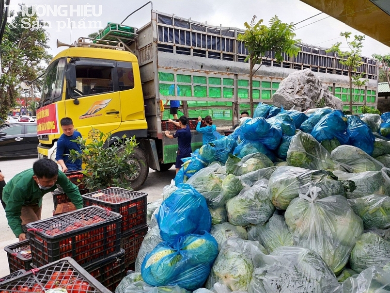 Nghệ An “giải cứu” nông sản Hải Dương