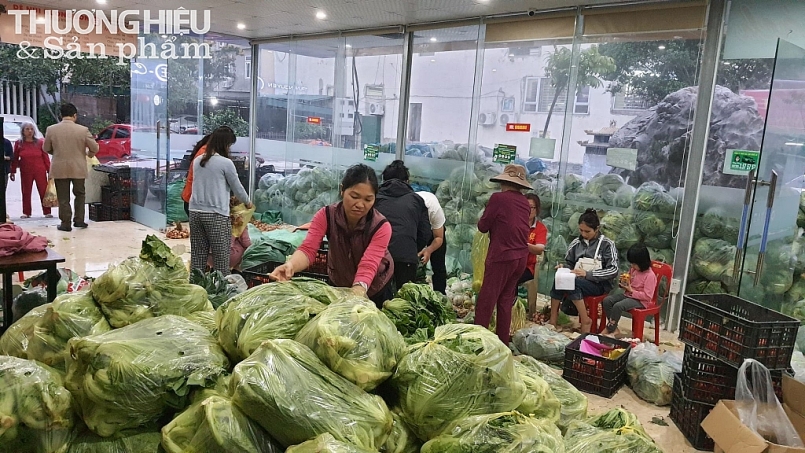 Nghệ An “giải cứu” nông sản Hải Dương