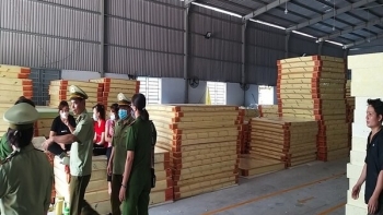 Công ty TNHH Vườn Xanh Bình Dương sản xuất nệm giả nhãn hiệu Thắng Lợi