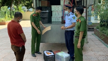 Bản tin hàng giả, hàng nhái: Phát hiện 2,3 tấn hoa quả tươi không rõ nguồn gốc, xuất xứ