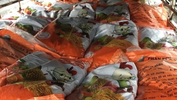 Bản tin hàng giả, hàng nhái: Bắt giữ xe ô tô tải vận chuyển 10 tấn phân bón vi phạm nhãn