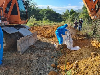 Bản tin hàng giả, hàng nhái: Hà Giang tiêu huỷ thực phẩm nhập lậu và nhiễm dịch tả lợn