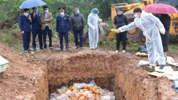 Quảng Bình: Tiêu hủy gần 2,4 tấn sản phẩm từ động vật