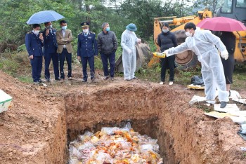 Quảng Bình: Tiêu hủy gần 2,4 tấn sản phẩm từ động vật