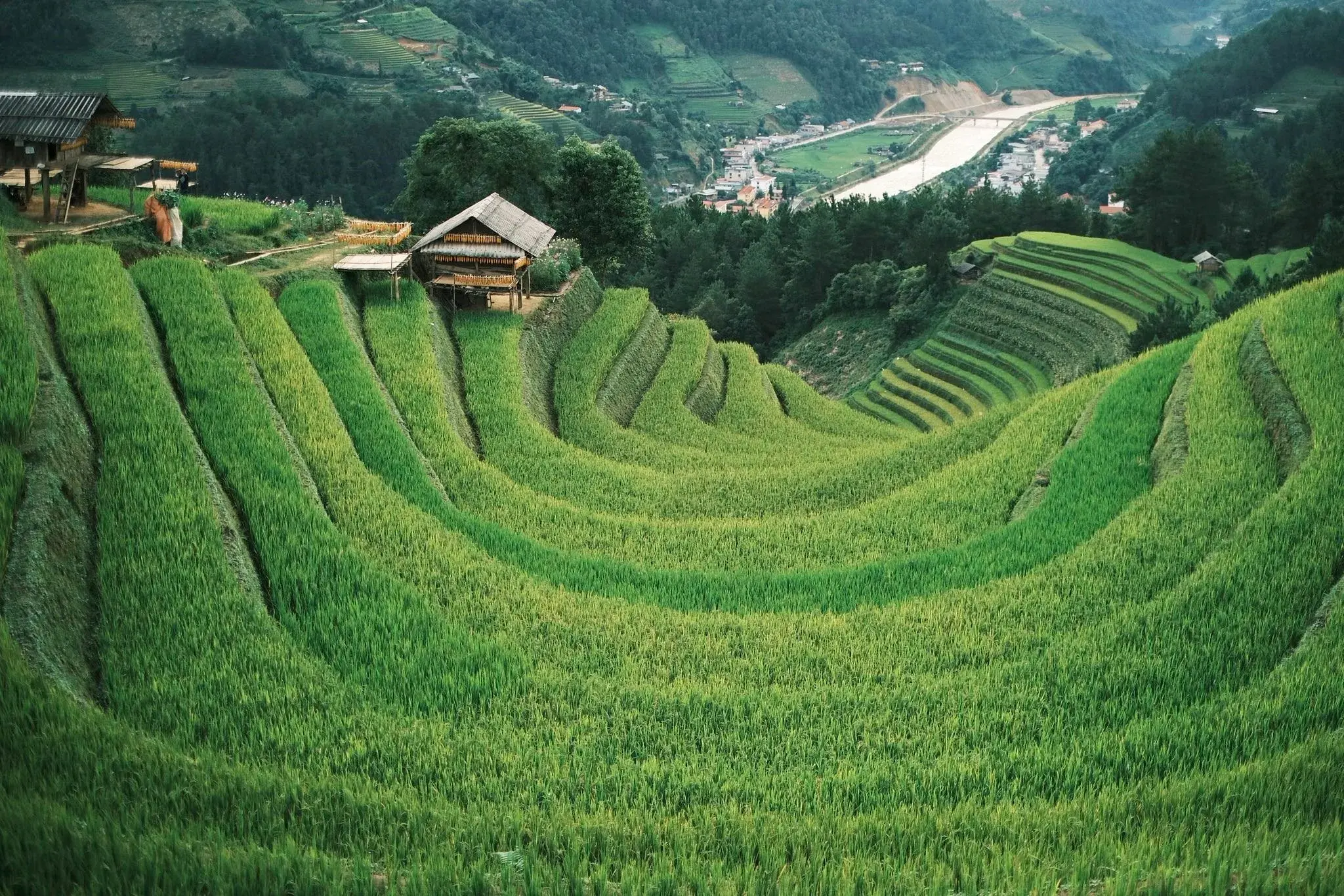 Vùng đất rộng 7.000ha giữa rừng núi Tây Bắc được xếp hạng Di tích quốc gia đặc biệt, cách Hà Nội khoảng 300km, từng vào top 'điểm đến đẹp nhất thế giới' Vùng đất rộng 7.000ha giữa rừng núi Tây Bắc được xếp hạng Di tích quốc gia đặc biệt, cách Hà Nội khoảng 300km, từng vào top 'điểm đến đẹp nhất thế giới'