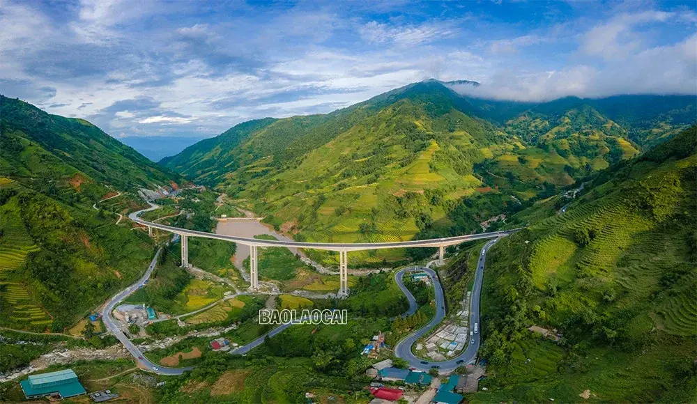 Cầu được xây dựng bằng bê tông cốt thép, bề mặt rộng 14m với 4 làn xe, 5 nhịp liên tục, trong đó, nhịp dài nhất là 132m, được thi công bằng phương pháp dầm hộp đúc hẫng cân bằng. Sau khi tuyến đường này hoàn thành sẽ tạo thuận lợi cho việc đi lại, giao thương, góp phần thúc đẩy phát triển kinh tế - xã hội của tỉnh Lào Cai và khu vực Tây Bắc. Cầu Móng Sến được khởi công từ đầu năm 2020, đến nay các hạng mục đã và đang dần hoàn thành. Do bắc qua thung lũng, lại có độ cao gần 100m nên công trường cầu Móng Sến thường xuyên có mây mù bao phủ, cây cầu như đi xuyên vào mây. Đứng trên cầu phóng tầm mắt ra xa theo nhiều hướng là những thửa ruộng bậc thang tuyệt đẹp. Đây là cây cầu cạn vượt địa hình nối từ khu vực chân dốc lên đỉnh dốc ba tầng - đoạn đường khó đi, quanh co, nguy hiểm nhất trong cung đường từ thành phố Lào Cai lên thị xã Sa Pa. Đến thời điểm hiện tại, công trình đã hoàn thành 99% khối lượng công việc, còn một số hạng mục cuối cùng trước khi đi vào hoạt động như hệ thống đèn chiếu sáng, vạch sơn kẻ đường và thảm đường dẫn 2 bên đầu cầu. Cây cầu cạn cao nhất Việt Nam, có ý nghĩa “then chốt” trong xây dựng tuyến đường nối cao tốc Nội Bài – Lào Cai đến Khu du lịch quốc gia Sa Pa.