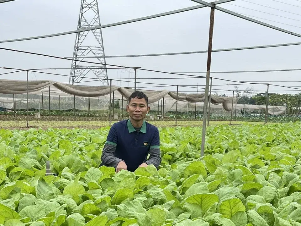 htx-nong-nghiep-xanh-hoang-gia2-1-.jpg