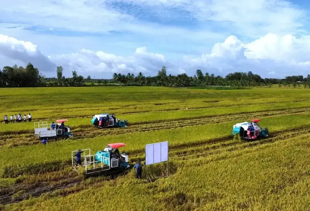 Doanh nghiệp, hiệp hội chung tay giữ nhịp sản xuất nông nghiệp- Ảnh 2.