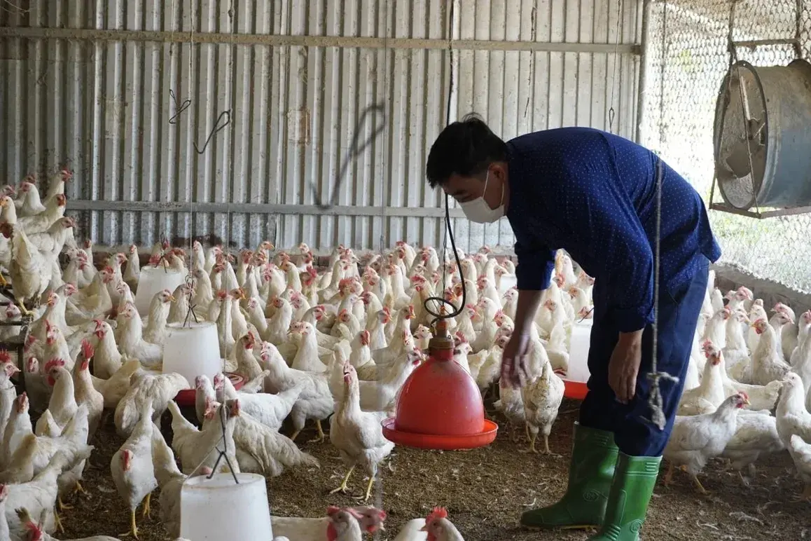 Doanh nghiệp, hiệp hội chung tay giữ nhịp sản xuất nông nghiệp- Ảnh 4.