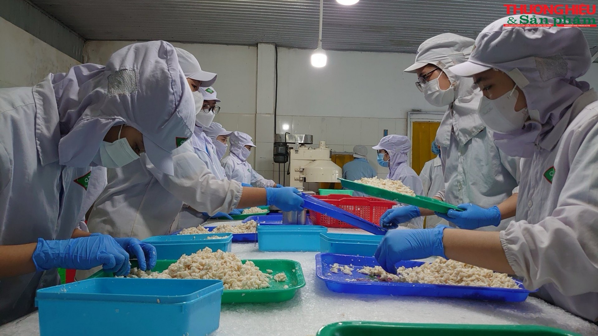 Từ lợi thế biển đến sản phẩm OCOP Từ lợi thế biển đến sản phẩm OCOP