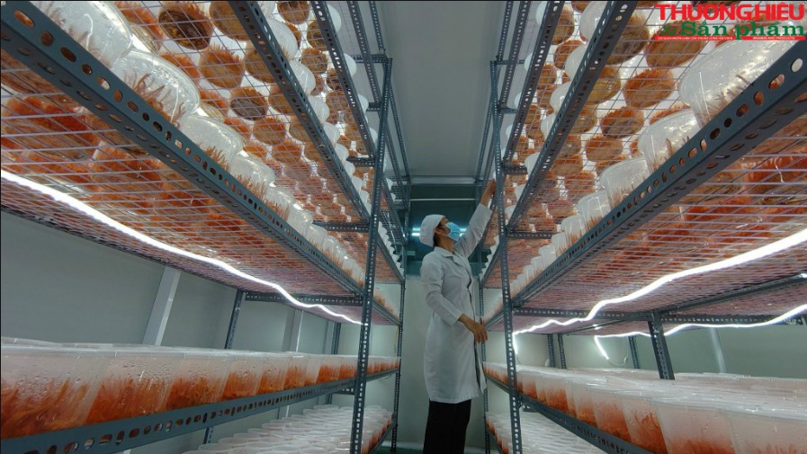 Bà Rịa – Vũng Tàu: Nhiều sản phẩm thực phẩm, đồ uống và dược liệu đạt chứng nhận OCOP Bà Rịa – Vũng Tàu: Nhiều sản phẩm thực phẩm, đồ uống và dược liệu đạt chứng nhận OCOP